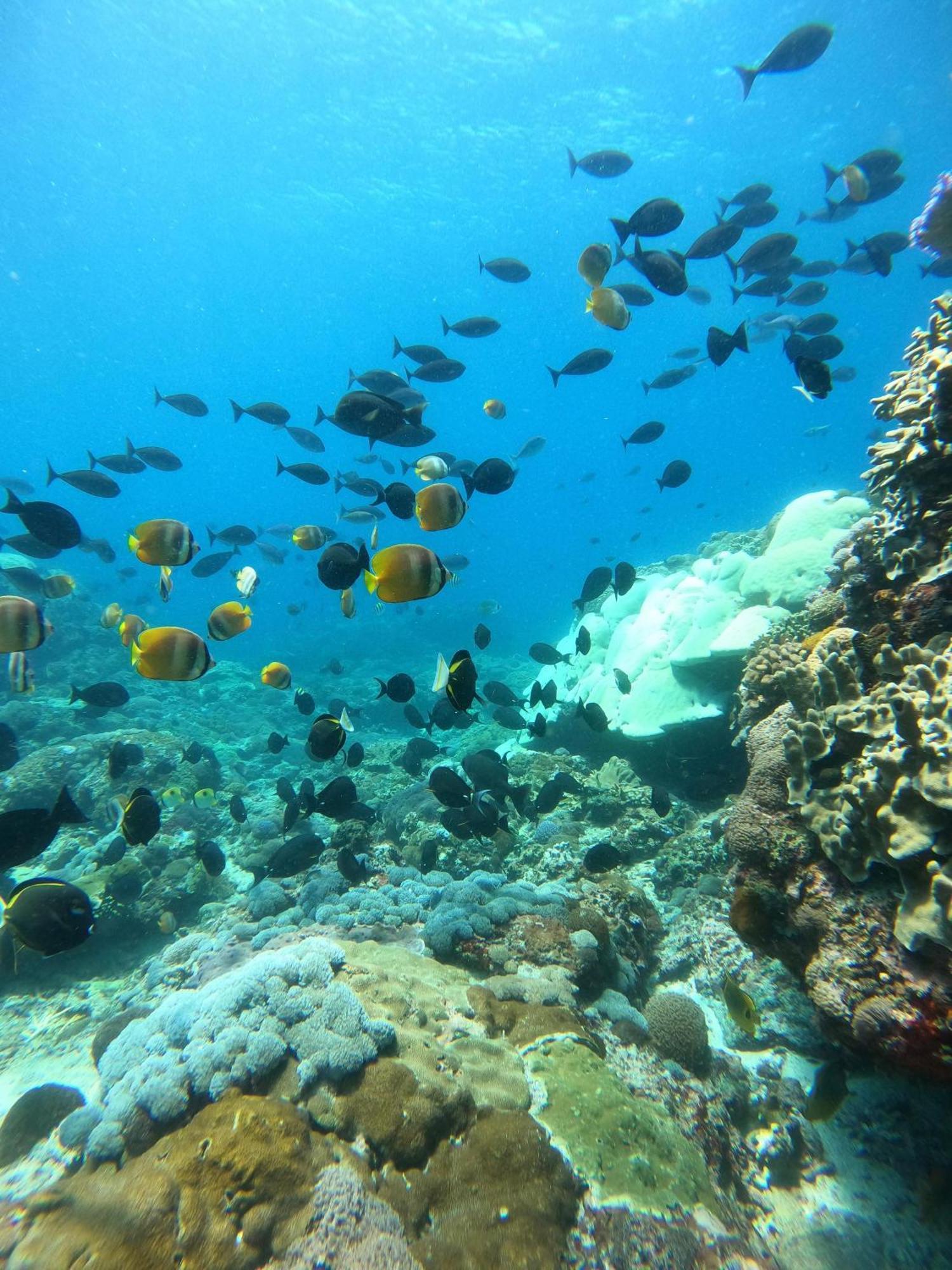 The Edge Lembongan Villa Dış mekan fotoğraf